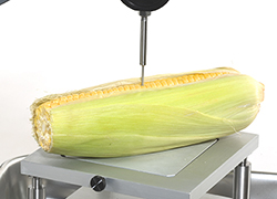 用于水果和蔬菜检测的夹具和固定装置